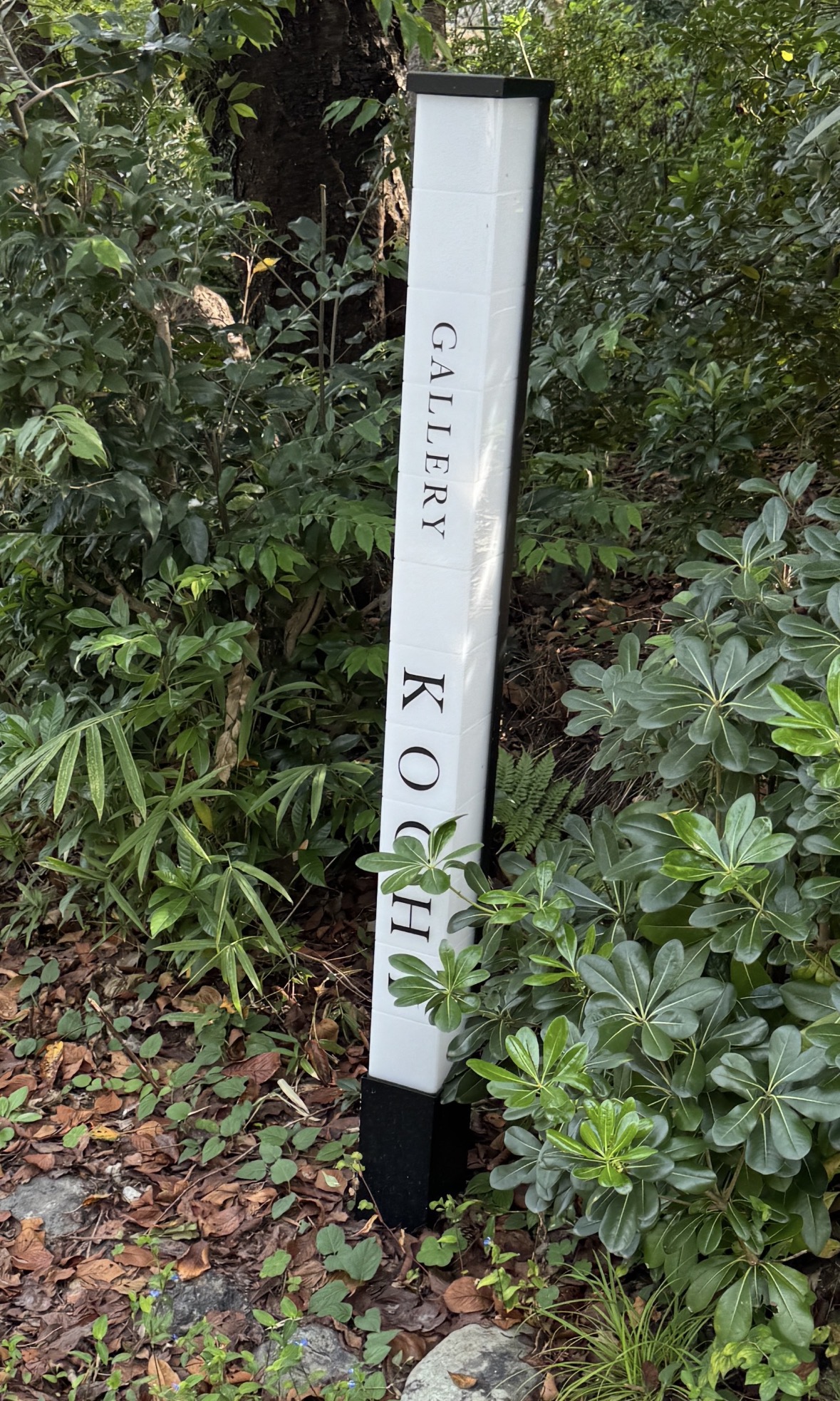 目印：縦長の「GALLERY KOCHI」の看板