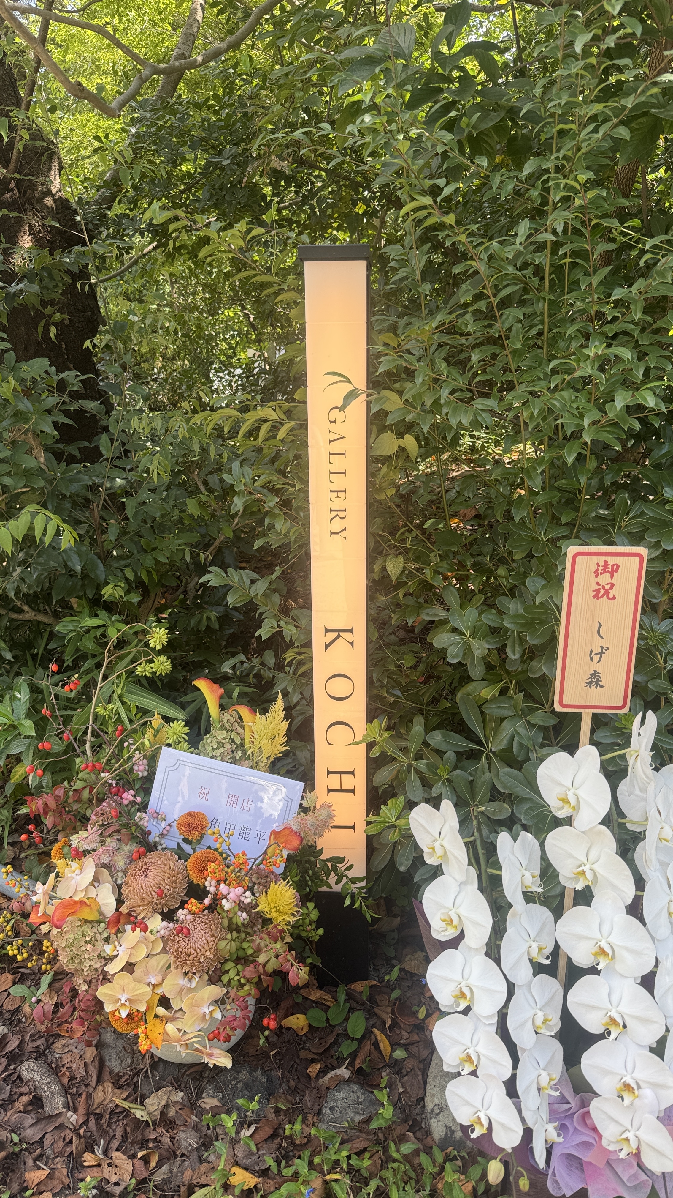 地标:竖立的“GALLERY KOCHI”招牌